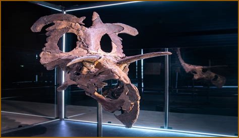 Unveiling Paul Sidoti's Net Worth: Discoveries And Insights